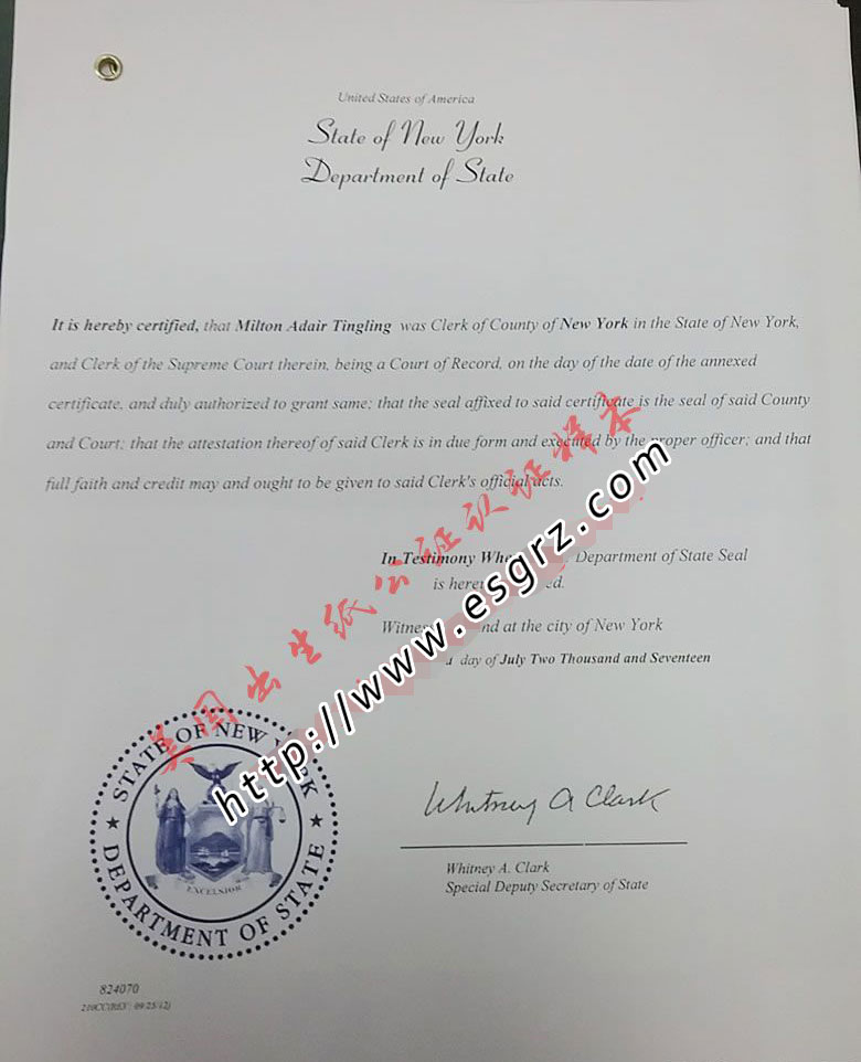 美國(guó)出生紙公證認(rèn)證樣本