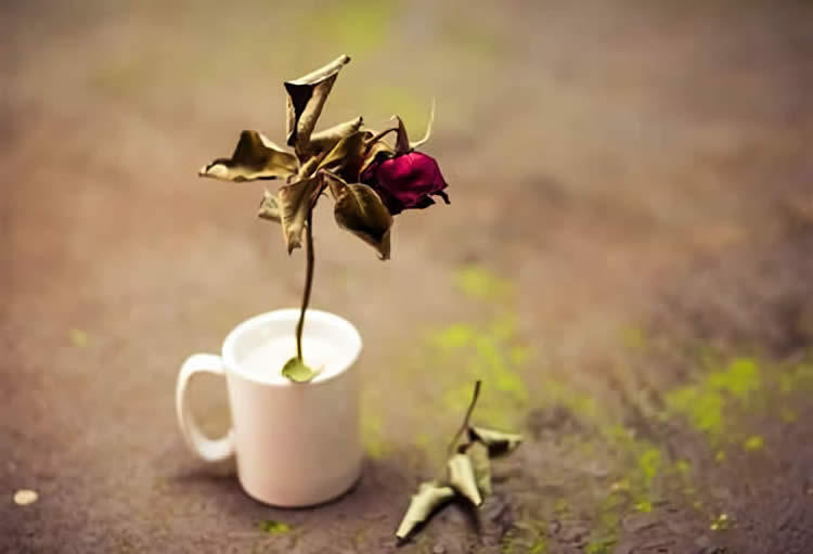 香港人在香港死亡，內(nèi)地子女怎么辦理親屬關(guān)系證明用于公證處辦理財產(chǎn)繼承手續(xù)？