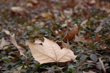香港死亡證明公證用于內地更改婚姻狀況