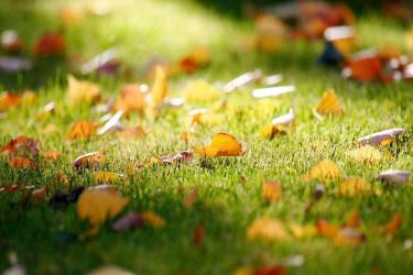 香港死亡證明真實(shí)性公證用于在北京辦理工商信息變更