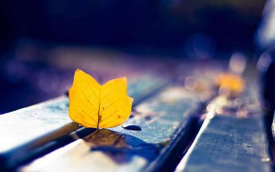 多位香港人士要如何辦理放棄繼承死者享有在內(nèi)地的遺產(chǎn)呢？