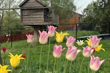 要繼承香港人在內(nèi)地的遺產(chǎn)怎么辦理親屬關(guān)系及遺囑狀況聲明書轉(zhuǎn)遞公證呢？ 