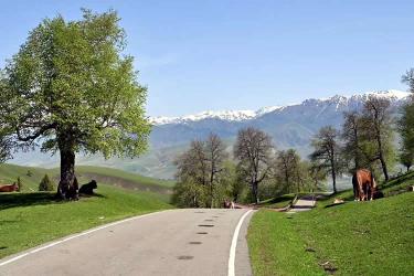 加拿大籍華人要在國(guó)內(nèi)貸款買房怎么辦理加拿大護(hù)照翻譯公證認(rèn)證？