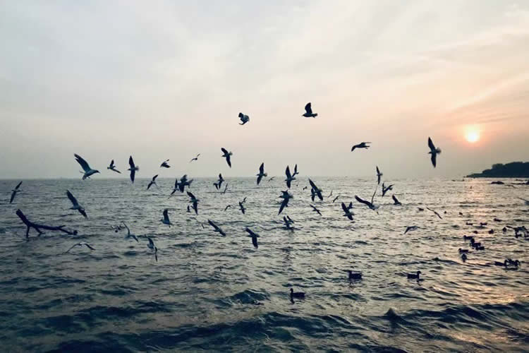 要繼承香港父母在內(nèi)地遺產(chǎn)所需要的公證親屬關系及遺囑狀況聲明書怎么辦理？