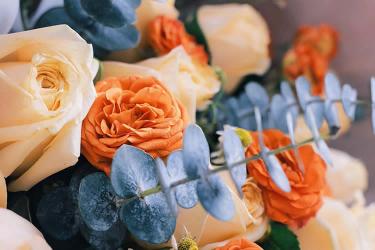 香港死亡證加章轉遞公證用于在廣州辦理遺產繼承公證書