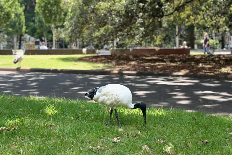 臺灣居民如何做在中國內(nèi)地無犯罪公證書用于辦理申請美國工作簽證呢