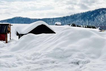 香港子女要放棄繼承內(nèi)地父母在內(nèi)地的遺產(chǎn)怎么辦理轉(zhuǎn)遞聲明公證書呢？