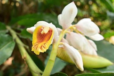 香港人要把內(nèi)地的房產(chǎn)加上配偶名字怎么做香港結(jié)婚證公證呢？