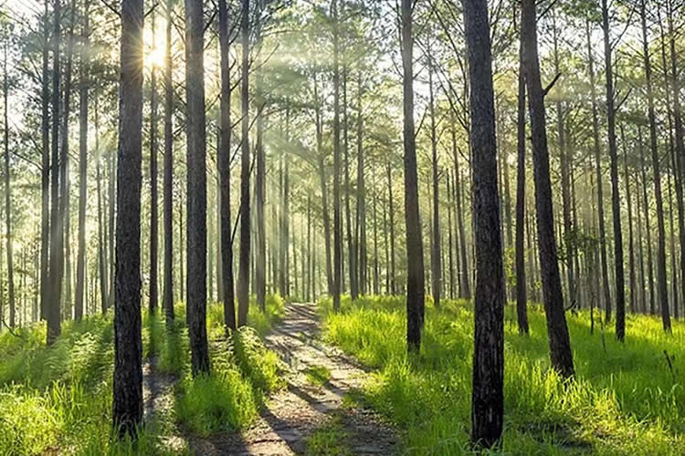 內(nèi)地人的香港離婚絕對判令要如何做公證用于跟銀行申請貸款呢？