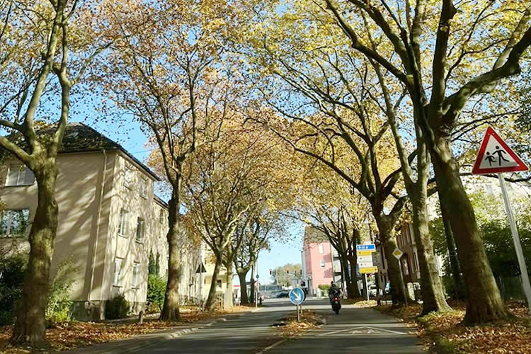 香港結(jié)婚證公證用于在內(nèi)地辦理夫妻之間股權(quán)轉(zhuǎn)讓及房產(chǎn)過戶之用