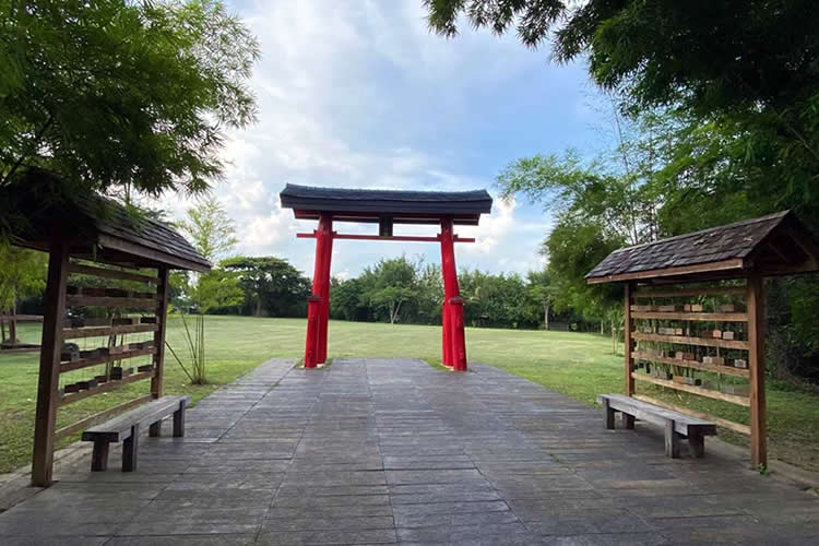 婚后改過名字又離婚的香港人怎么辦理單身聲明書公證用于在內(nèi)地再婚呢？