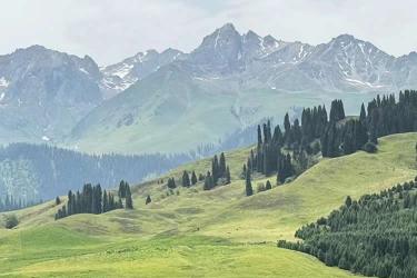 在美國(guó)的臺(tái)灣同胞如何辦理中國(guó)內(nèi)地?zé)o犯罪記錄公證書用于申請(qǐng)美國(guó)簽證？