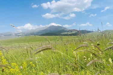 中國公民在美國離婚現(xiàn)要更改婚姻狀況怎么辦理美國離婚判決書海牙認證？