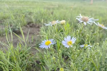 只有很久之前的出生公證書的香港人怎么辦理出生公證認(rèn)證用于在香港繼承父母遺產(chǎn)呢？ 