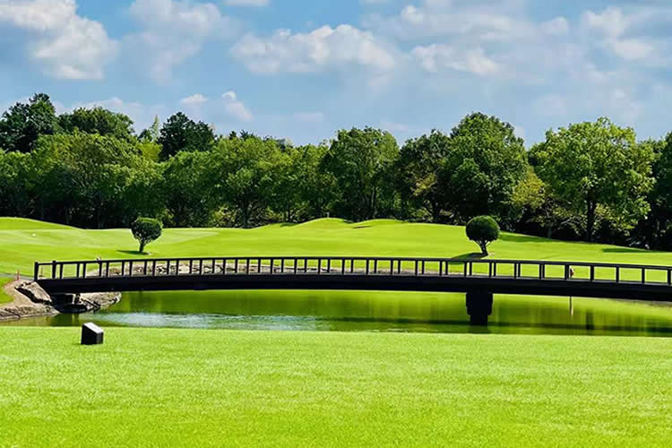 內(nèi)地出生且父母已故的香港人要移民愛爾蘭怎么辦理出生公證附加證明書呢？