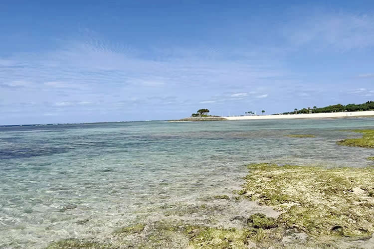 父母怎么辦理小孩的香港出生紙公證雙認(rèn)證用于申請?zhí)﹪阕x簽證呢？