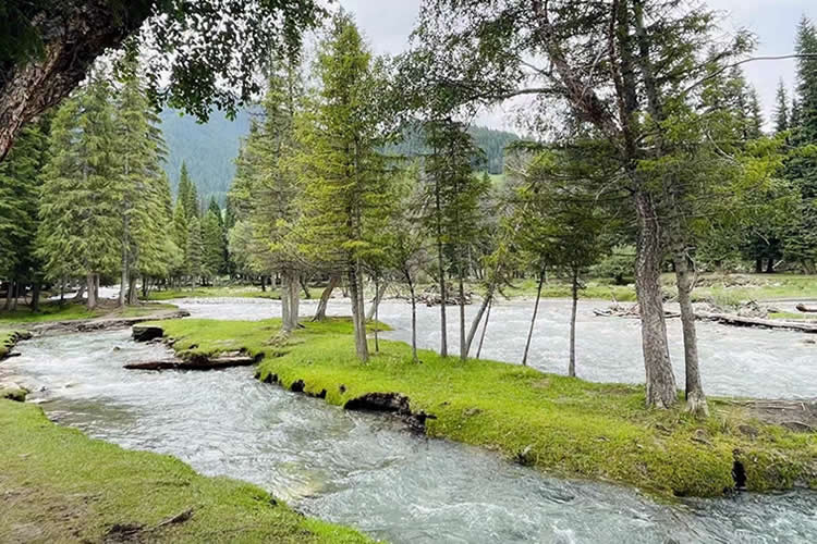 中國(guó)公民要在越南設(shè)立公司怎么在香港辦理中國(guó)護(hù)照越南公證雙認(rèn)證手續(xù)呢？