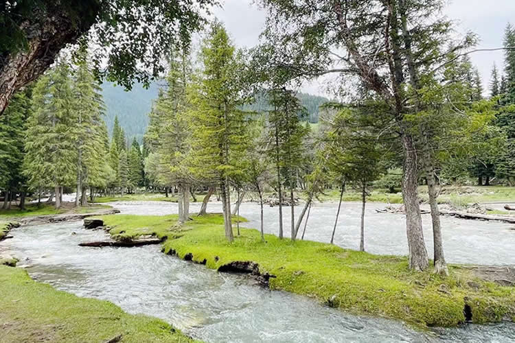 內(nèi)地居民取得香港永居身份后，如何合法有效處理內(nèi)地的資產(chǎn)呢？
