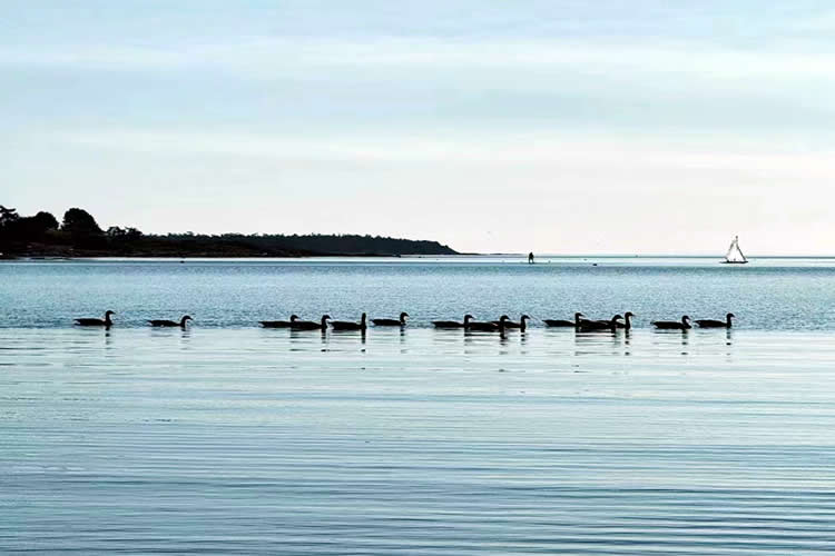 香港人的美國離婚證明文件怎么辦理美國海牙認(rèn)證Apostille手續(xù)呢？