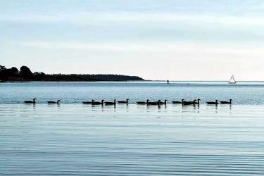 香港人的美國(guó)離婚證明文件怎么辦理美國(guó)海牙認(rèn)證Apostille手續(xù)呢？