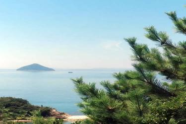 堂侄子要繼承香港姑媽去世后的內(nèi)地遺產(chǎn)怎么做親屬關(guān)系及遺囑狀況聲明書公證呢？