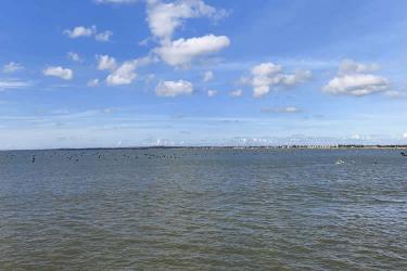 香港居民怎么無(wú)需回國(guó)遠(yuǎn)程辦理移民美國(guó)所需的中國(guó)出生雙號(hào)公證書(shū)呢？