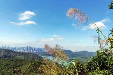 香港人怎么辦理中國內(nèi)地出生公證海牙認證用于移民新加坡呢？