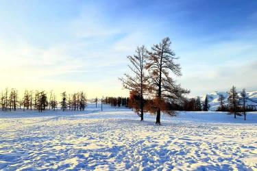 香港結(jié)婚證加章轉(zhuǎn)遞公證用于港童港寶深圳上學(xué)入園使用